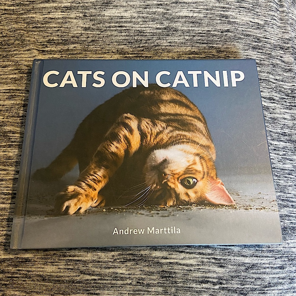 Cats on Catnip book